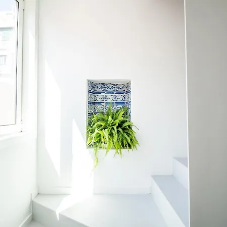 1br Charming In The Heart Of Santos | By Airnest Lisboa